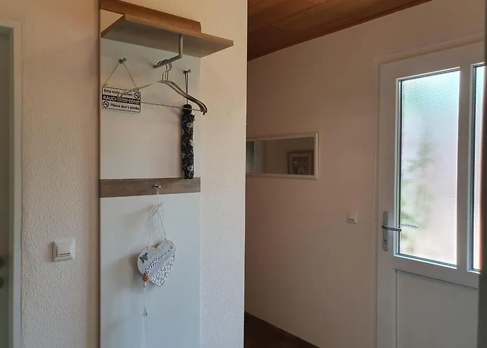 Picidae 55172 Filsum